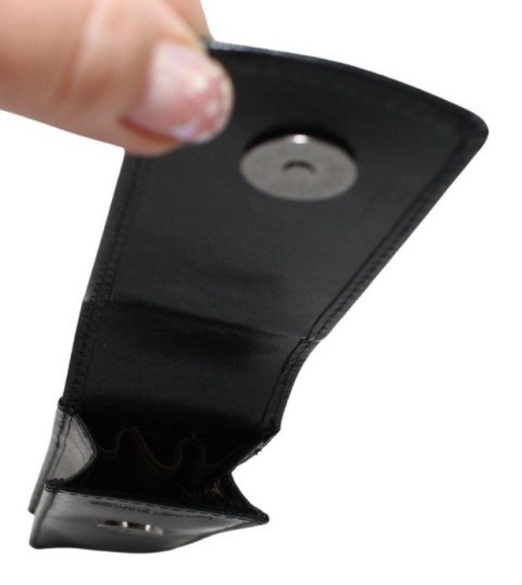 Eleganckie Etui Na Długopisy ROVICKY (PL) Skóra Naturalna Licowa CPR-042 RFID Eleganckie Etui Na Długopisy ROVICKY (PL) Skóra Naturalna Licowa CPR-042 RFID