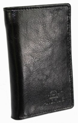 Etui na dokumenty ANDRUS (PL) Dwie Części Na Nap Skóra Naturalna RIFD 13 x 8 [cm]