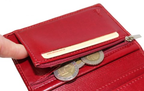 Etui Na Dokumenty WILMAR (PL) Duże Pionowe Dwie Części Z Miejscem Na Gotówkę WIL_P1/6 K RFID Etui Na Dokumenty WILMAR (PL) Duże Pionowe Dwie Części Z Miejscem Na Gotówkę WIL_P1/6 K RFID