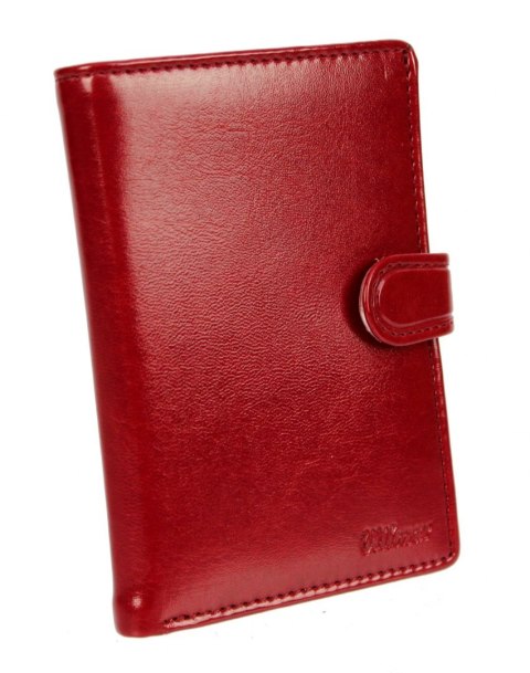 Etui Na Dokumenty WILMAR (PL) Duże Pionowe Z Zapinką Dwie Części RFID Z Miejscem Na Gotówkę WIL_P1/6 Etui Na Dokumenty WILMAR (PL) Duże Pionowe Z Zapinką Dwie Części RFID Z Miejscem Na Gotówkę WIL_P1/6