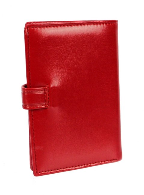 Etui Na Dokumenty WILMAR (PL) Duże Pionowe Z Zapinką Dwie Części RFID Z Miejscem Na Gotówkę WIL_P1/6 Etui Na Dokumenty WILMAR (PL) Duże Pionowe Z Zapinką Dwie Części RFID Z Miejscem Na Gotówkę WIL_P1/6