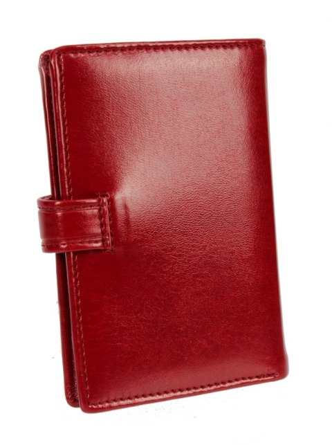 Etui Na Dokumenty WILMAR (PL) Duże Pionowe Z Zapinką Dwie Części RFID Z Miejscem Na Gotówkę WIL_P1/6 Etui Na Dokumenty WILMAR (PL) Duże Pionowe Z Zapinką Dwie Części RFID Z Miejscem Na Gotówkę WIL_P1/6