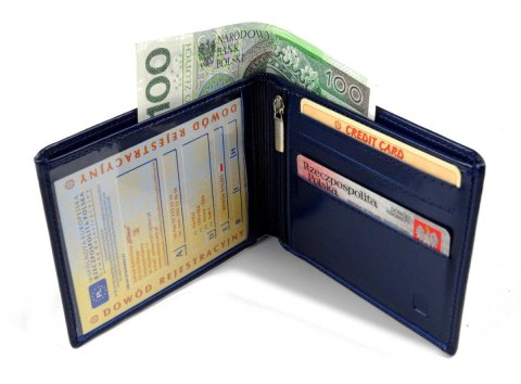 Etui Na Dokumenty WILMAR (PL) Poziome Z Miejscem Na Gotówkę WIL_P1/4 Etui Na Dokumenty WILMAR (PL) Poziome Z Miejscem Na Gotówkę WIL_P1/4