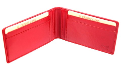 Etui Na Dokumenty Wizytownik WILMAR (PL) Poziome P1/5 BIS Etui Na Dokumenty Wizytownik WILMAR (PL) Poziome P1/5 BIS