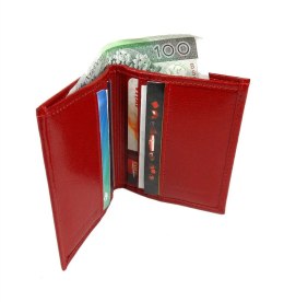 Etui Na Karty Dokumenty ANDRUS (PL) Małe 2 Wizytownik Pionowy Skóra Naturalna RIFD 10 x 9 [cm]