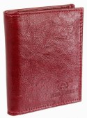 Etui Na Karty Dokumenty ANDRUS (PL) Małe 2 Wizytownik Pionowy Skóra Naturalna RIFD 10 x 9 [cm]