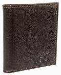 Etui Na Karty Dokumenty ANDRUS (PL) Małe 2 Wizytownik Pionowy Skóra Naturalna RIFD 10 x 9 [cm]