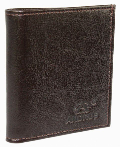 Etui Na Karty Dokumenty ANDRUS (PL) Małe 2 Wizytownik Pionowy Skóra Naturalna RIFD 10 x 9 [cm]