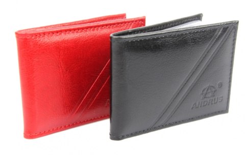 Etui Na Karty Dokumenty ANDRUS (PL) Wizytownik Mały Poziomy Skóra Naturalna RFID 10 x 7 x 1 [cm]