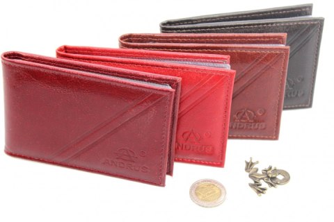 Etui Na Karty Dokumenty ANDRUS (PL) Wizytownik Skóra Naturalna RFID 11 x 7,5 cm Etui Na Karty Dokumenty ANDRUS (PL) Wizytownik Skóra Naturalna RFID 11 x 7,5 cm