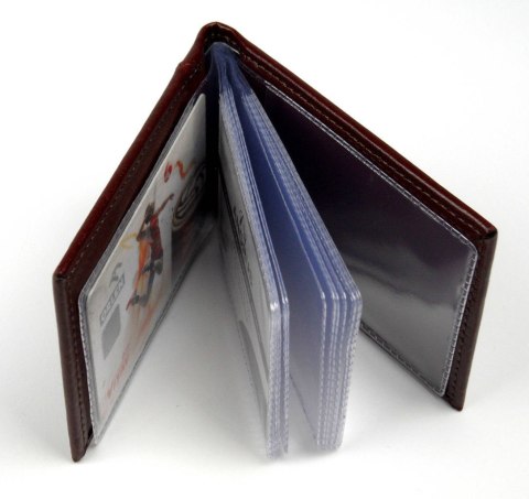 Etui Na Karty Dokumenty ANDRUS (PL) Wizytownik Skóra Naturalna RFID 11 x 7,5 cm Etui Na Karty Dokumenty ANDRUS (PL) Wizytownik Skóra Naturalna RFID 11 x 7,5 cm