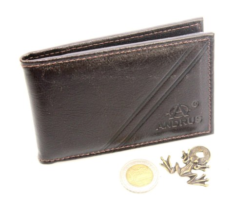 Etui Na Karty Dokumenty ANDRUS (PL) Wizytownik Skóra Naturalna RFID 11 x 7,5 cm Etui Na Karty Dokumenty ANDRUS (PL) Wizytownik Skóra Naturalna RFID 11 x 7,5 cm