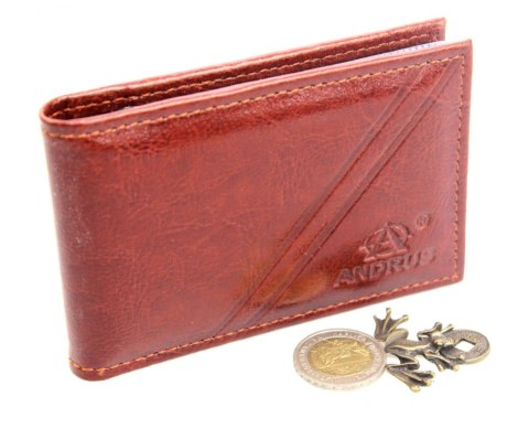 Etui Na Karty Dokumenty ANDRUS (PL) Wizytownik Skóra Naturalna RFID 11 x 7,5 cm Etui Na Karty Dokumenty ANDRUS (PL) Wizytownik Skóra Naturalna RFID 11 x 7,5 cm