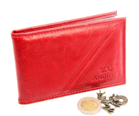 Etui Na Karty Dokumenty ANDRUS (PL) Wizytownik Skóra Naturalna RFID 11 x 7,5 cm Etui Na Karty Dokumenty ANDRUS (PL) Wizytownik Skóra Naturalna RFID 11 x 7,5 cm
