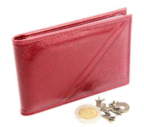 Etui Na Karty Dokumenty ANDRUS (PL) Wizytownik Skóra Naturalna RFID 11 x 7,5 cm Etui Na Karty Dokumenty ANDRUS (PL) Wizytownik Skóra Naturalna RFID 11 x 7,5 cm