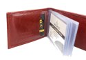 Etui Na Karty Dokumenty ANDRUS (PL) Wizytownik Skóra Naturalna RFID 11 x 7,5 cm