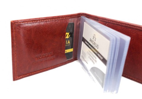 Etui Na Karty Dokumenty ANDRUS (PL) Wizytownik Skóra Naturalna RFID 11 x 7,5 cm Etui Na Karty Dokumenty ANDRUS (PL) Wizytownik Skóra Naturalna RFID 11 x 7,5 cm