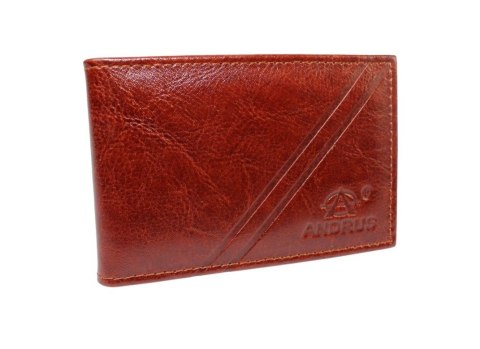 Etui Na Karty Dokumenty ANDRUS (PL) Wizytownik Skóra Naturalna RFID 11 x 7,5 cm Etui Na Karty Dokumenty ANDRUS (PL) Wizytownik Skóra Naturalna RFID 11 x 7,5 cm
