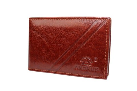 Etui Na Karty Dokumenty ANDRUS (PL) Wizytownik Skóra Naturalna RFID 11 x 7,5 cm Etui Na Karty Dokumenty ANDRUS (PL) Wizytownik Skóra Naturalna RFID 11 x 7,5 cm