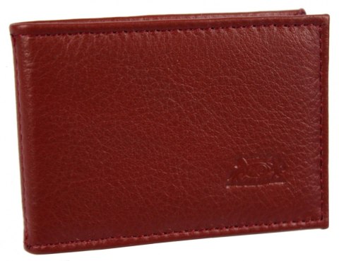Etui Na Karty Dokumenty ELKOR (PL) Wizytownik EL004 Etui Na Karty Dokumenty ELKOR (PL) Wizytownik EL004