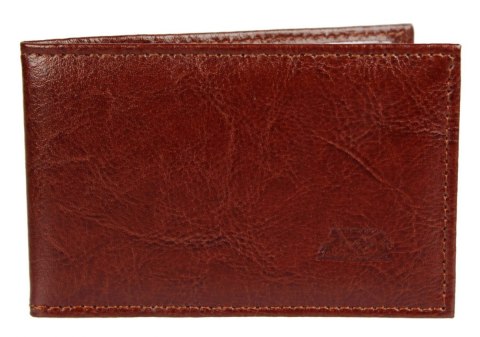 Etui Na Karty Dokumenty ELKOR (PL) Wizytownik Wzór II EL002 Etui Na Karty Dokumenty ELKOR (PL) Wizytownik Wzór II EL002