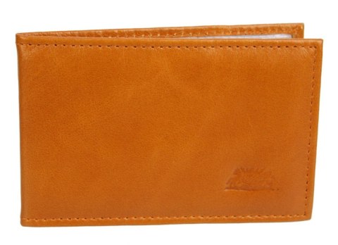 Etui Na Karty Dokumenty ELKOR (PL) Wizytownik Wzór II EL002 Etui Na Karty Dokumenty ELKOR (PL) Wizytownik Wzór II EL002