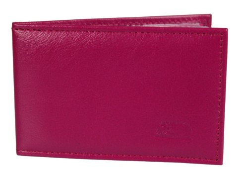 Etui Na Karty Dokumenty ELKOR (PL) Wizytownik Wzór II EL002 Etui Na Karty Dokumenty ELKOR (PL) Wizytownik Wzór II EL002