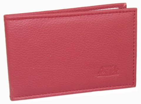 Etui Na Karty Dokumenty ELKOR (PL) Wizytownik Wzór II EL002 Etui Na Karty Dokumenty ELKOR (PL) Wizytownik Wzór II EL002