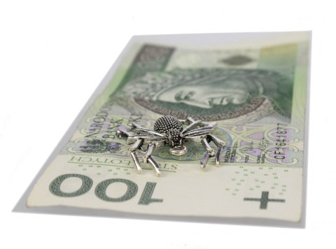 Pająk Mosiężny Na Pomnażanie Pieniędzy Pająk Mosiężny Na Pomnażanie Pieniędzy