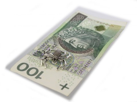 Pająk Mosiężny Na Pomnażanie Pieniędzy Pająk Mosiężny Na Pomnażanie Pieniędzy