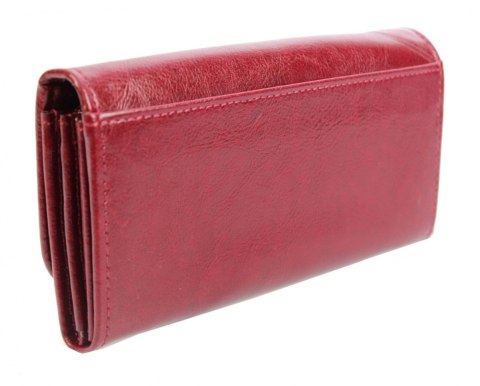 Portfel Damski ANDRUS (PL) Długi Max Na Suwak Skóra Naturalna Licowa Wzór 2 RFID 17 x 9,5 x 3,5 [cm]