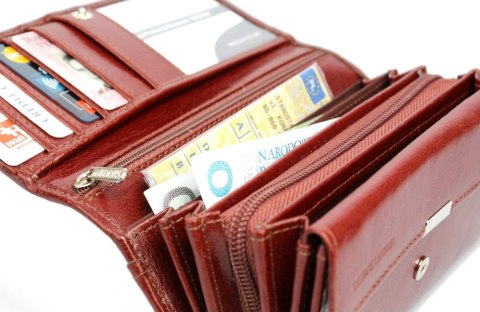 Portfel Damski ANDRUS (PL) Długi Max Na Suwak Skóra Naturalna Licowa Bardzo Wygodny I Wytrzymały RFID 17 x 9 x 4 [cm]