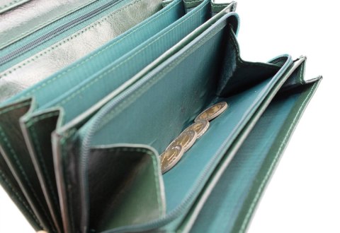 Portfel Damski ELKOR (PL) Długi Suwak Wewnątrz Skóra Naturalna EL016 17x9x3,5[cm]