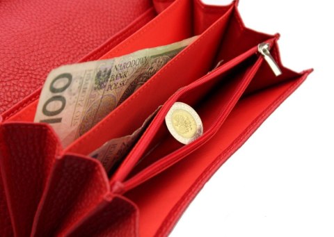 Portfel Damski PolskaGalanteria Z Wstawką Długi Max Z Suwakiem Skóra Naturalna CZARNY Z CZERWONYM WZÓR II KP D13-WST Portfel Damski PolskaGalanteria Z Wstawką Długi Max Z Suwakiem Skóra Naturalna CZARNY Z CZERWONYM WZÓR II KP D13-WST