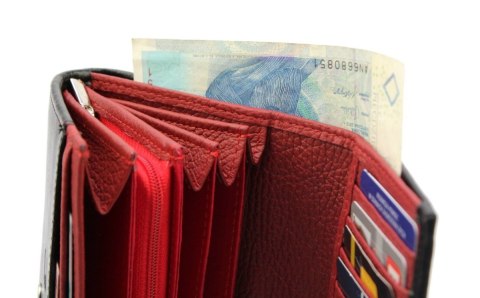 Portfel Damski PolskaGalanteria Z Wstawką Długi Suwak Skóra Naturalna CZARNY Z CZERWONYM Wzór I D14-WST Portfel Damski PolskaGalanteria Z Wstawką Długi Suwak Skóra Naturalna CZARNY Z CZERWONYM Wzór I D14-WST