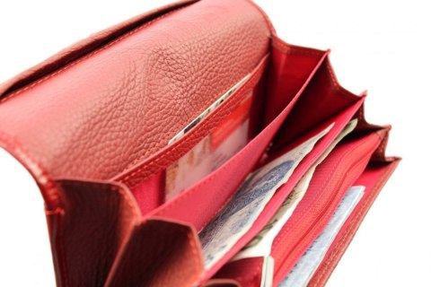 Portfel Damski PolskaGalanteria Z Wstawką Skóra Węża Długi Max Z Suwakiem Skóra Naturalna CZERWONY KP D13-WST Portfel Damski PolskaGalanteria Z Wstawką Skóra Węża Długi Max Z Suwakiem Skóra Naturalna CZERWONY KP D13-WST