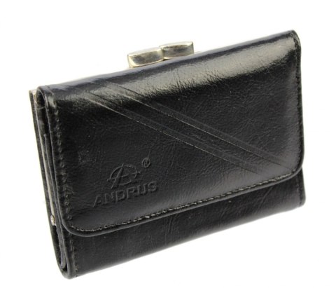 Portfel Damski Skórzany ANDRUS (PL) Klamra Na Zewnątrz Skóra Naturalna RFID 12 x 8,5 x 2,5 [cm]