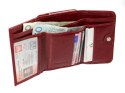 Portfel Damski Skórzany ANDRUS (PL) Klamra Na Zewnątrz Skóra Naturalna RFID 12 x 8,5 x 2,5 [cm]