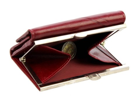 Portfel Damski Skórzany ANDRUS (PL) Klamra Na Zewnątrz Skóra Naturalna RFID 12 x 8,5 x 2,5 [cm]