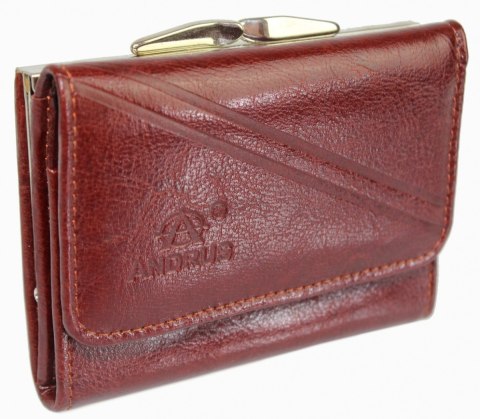 Portfel Damski Skórzany ANDRUS (PL) Klamra Na Zewnątrz Skóra Naturalna RFID 12 x 8,5 x 2,5 [cm]