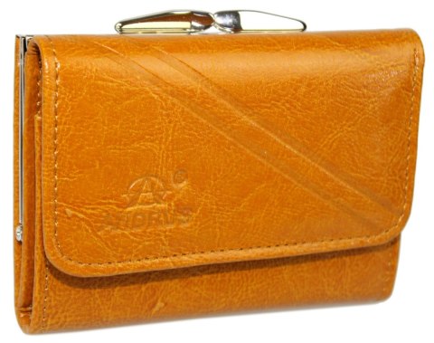 Portfel Damski Skórzany ANDRUS (PL) Klamra Na Zewnątrz Skóra Naturalna RFID 12 x 8,5 x 2,5 [cm]