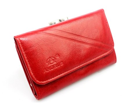 Portfel Damski Skórzany ANDRUS (PL) 14 cm Klamra Skóra Naturalna RIFD 13 x 10 x 3  [cm]