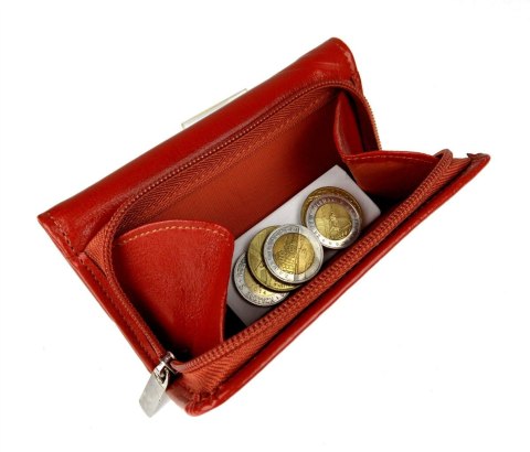 Portfel Damski Skórzany ANDRUS (PL) 14 cm Suwak Skóra Naturalna Wzór II RIFD 14,5 x 9 x 3 [cm]