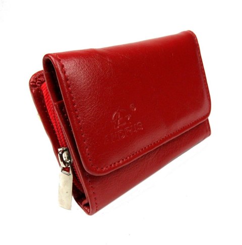 Portfel Damski Skórzany ANDRUS (PL) Skóra Licowa Suwak RIFD 12 x 9 x 3 [cm]