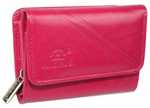 Portfel Damski Skórzany ANDRUS (PL) Skóra Licowa Suwak RIFD 12 x 9 x 3 [cm]