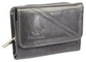 Portfel Damski Skórzany ANDRUS (PL) Skóra Licowa Suwak RIFD 12 x 9 x 3 [cm]