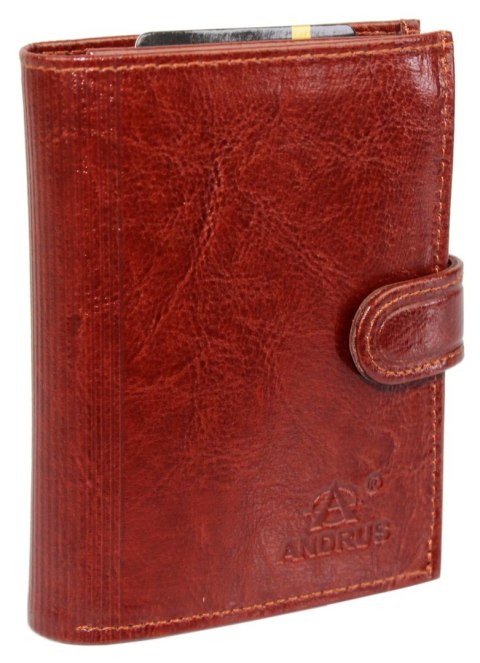 Portfel Męski ANDRUS (PL) Skóra Licowa Duży Pionowy Z Zapięciem Dwa Skrzydełka Poziomy Suwak RIFD 12,5 x 10 x 3  [cm]