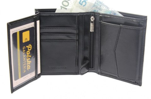 Portfel Męski ANDRUS (PL) Skóra Włoska Duży Pionowy Bez Zapięcia Jedno Skrzydełko 13 x 10 x 2,5 [cm]