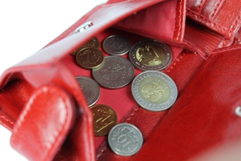 Portfel Męski ELKOR (PL) Skóra Licowa Poziomy Z Zapięciem EL135 Portfel Męski ELKOR (PL) Skóra Licowa Poziomy Z Zapięciem EL135
