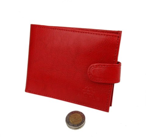 Portfel Męski Skórzany ANDRUS (PL) Skóra Licowa Duży Poziomy Z Zapięciem Jedno Skrzydełko Do Góry RFID 13 x 10 x 2,5 [cm]